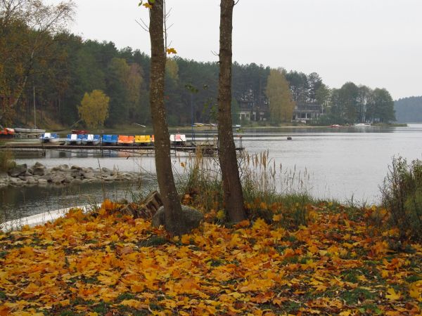 Jesień. Cypel lądu między jeziorem Wdzydzkim a wejściem rzeki Wdy