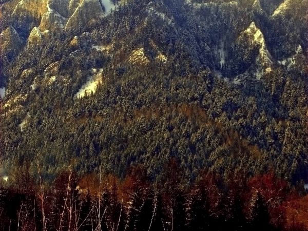 zdjecie Sromowce Niżne