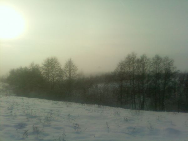 Brzeźno Wielkie ul. Szkolna