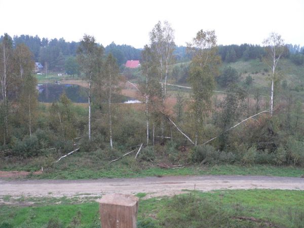 Jezioro - kraina bobrów.