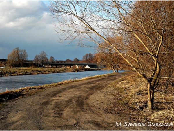 Iłżanka i droga do ,,Dzikiego sadu''