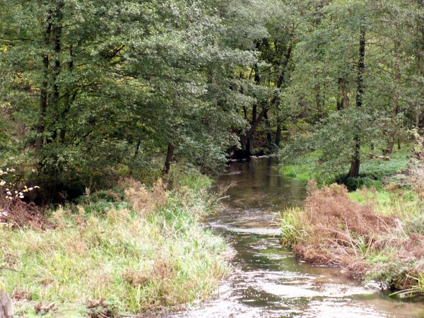 Stara Korytnica - rzeka Korytnica