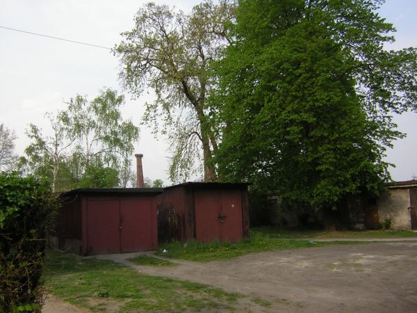 zdjecie Sulechów