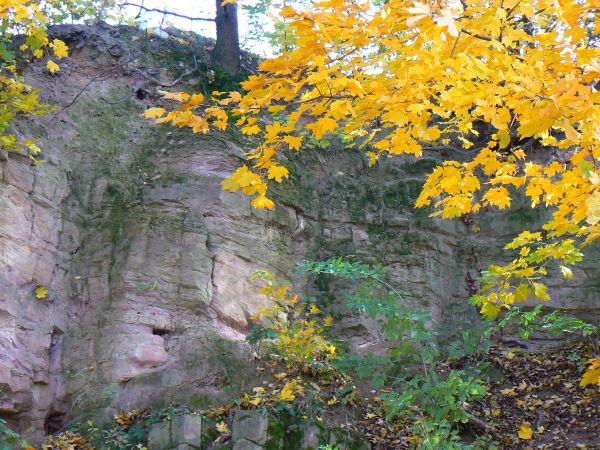 Skała przy ul. Ofiar Terroru.