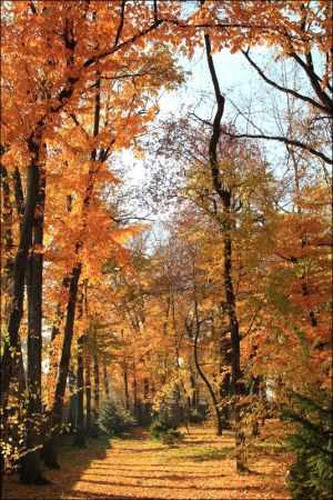 Klasztor i park  ss. Niepokalanek na Głębokiej.
