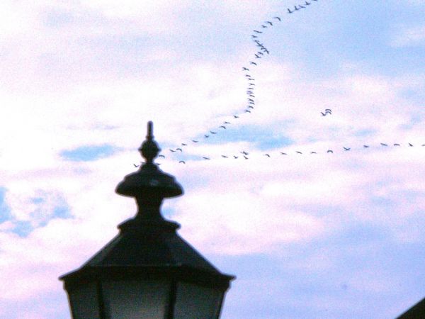 zdjecie Mały Bukowiec