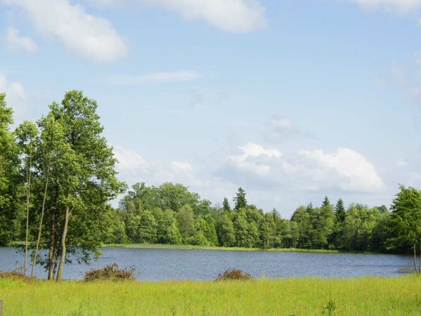 Jezioro Wałdowskie Małe