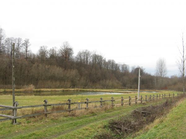 obok trasy głównej /bo do wsi należy na tej wysokości w prawo skręcić!/ - stawy hodowlane.