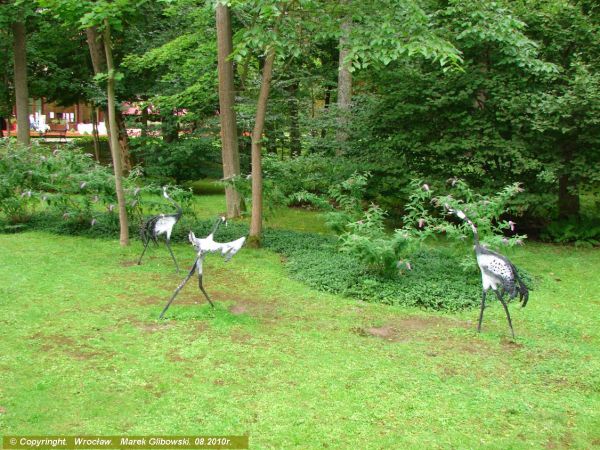 zdjecie Kudowa-Zdrój