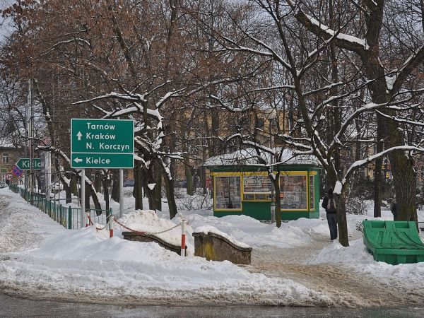 Busko-Zdrój, park w rynku.