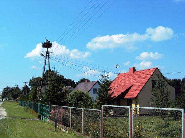 W 1949 roku w Łazpwej powstała Rolnicza Spółdzielnia Produkcyjna, która funkcjonuje do dziś.