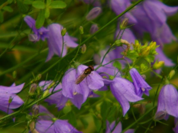 nic dodać nic odjąć ciepło to chyba jak na razie kolejna zima ciepła elektrownie wiatrowe górą