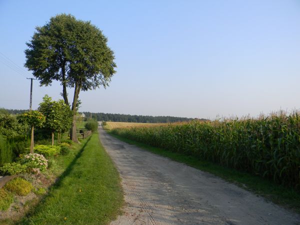Sierpień 2011
