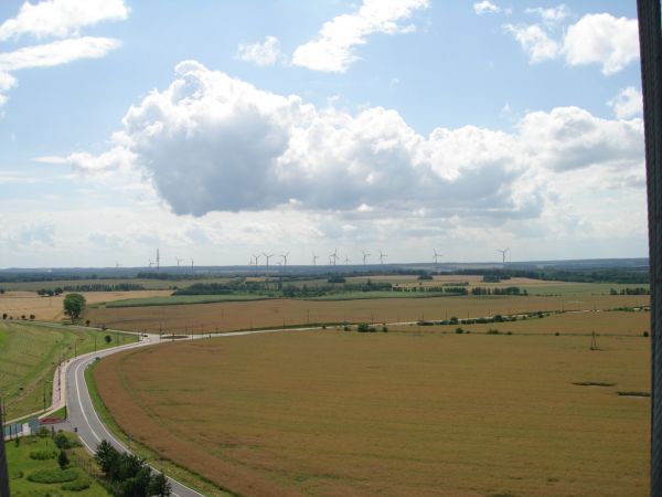 Widok z wieży widokowej.