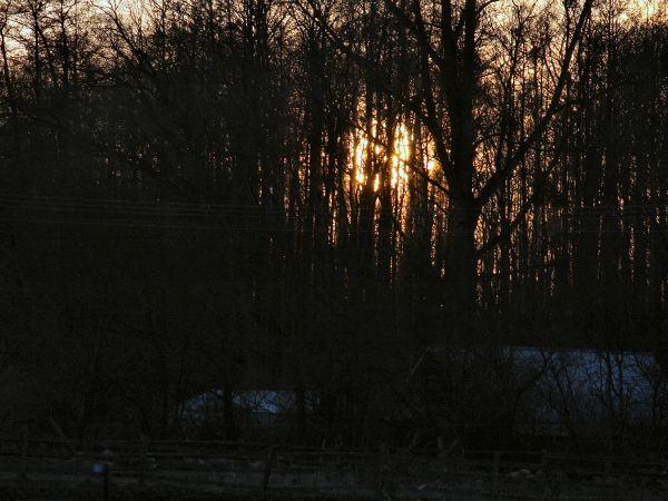 zdjecie Tyniewicze Duże