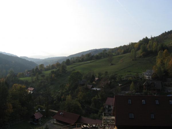 U góry owce na hali