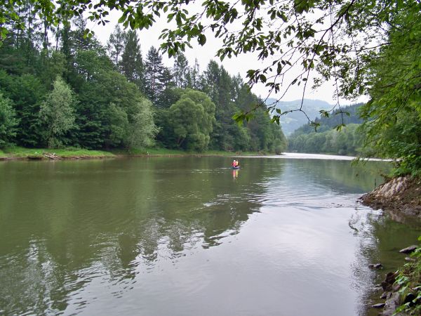 Dunajec.