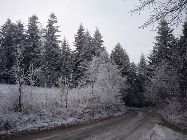 Bieńkówka. Droga do Harbutowic.