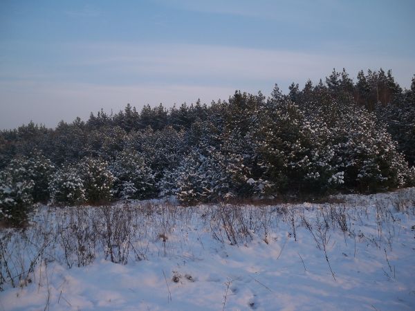 Trzęsów zimą