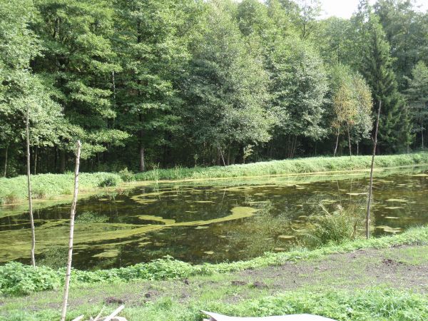 zdjecie Piłatowszczyzna