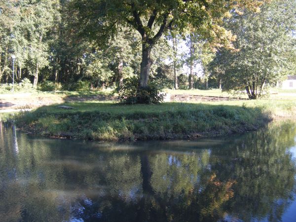 zdjecie Stare Kurowo