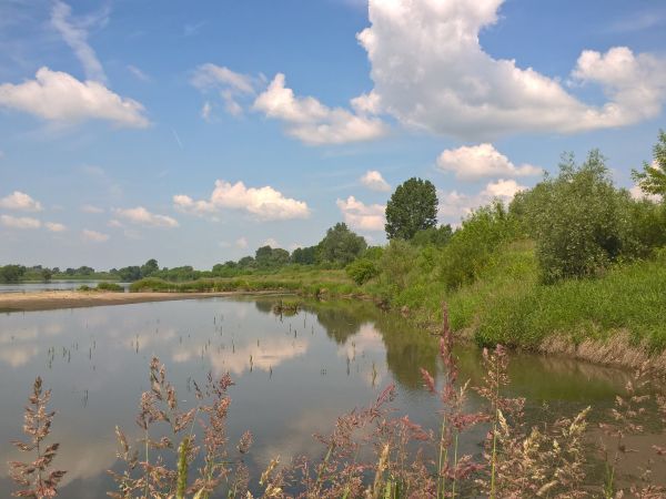 Z dala od wielkiego świata ; reklam , samochodów , betonu i asfaltu - Wisła  przynosi jakże ważny- święty spokój    : -)