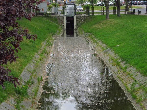 Park Tysiąclecia w Chojnicach