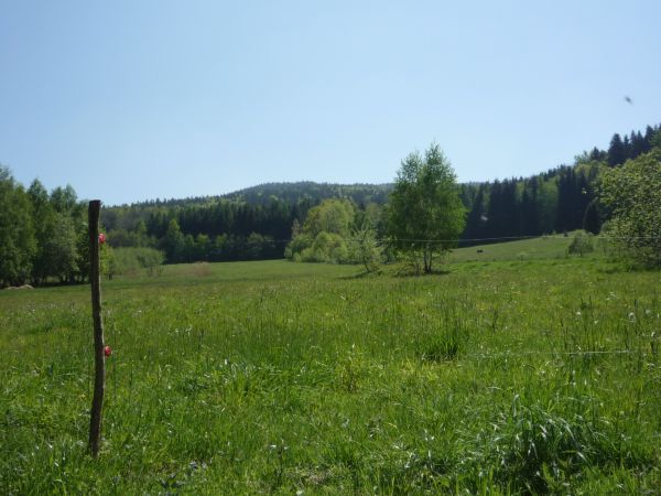 zdjecie Jarnołtówek