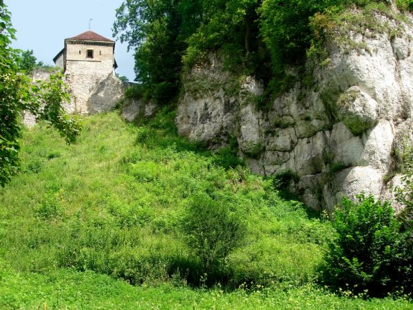 Zamek w Ojcowie, położony na terenie Ojcowskiego Parku Narodowego, w centrum Ojcowa, był zamkiem warownym wzniesionym przez Kazimierza Wielkiego w II połowie XI