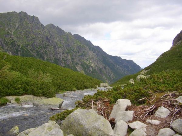 zdjecie Zakopane