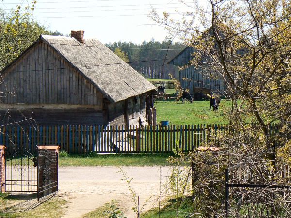 zdjecie Tyniewicze Duże