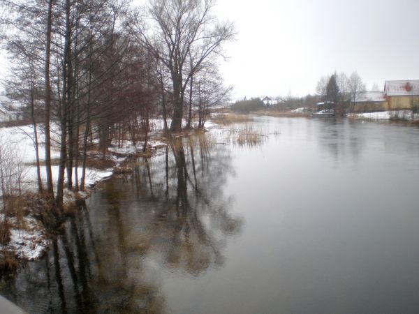 Zdjęcia Chruściele