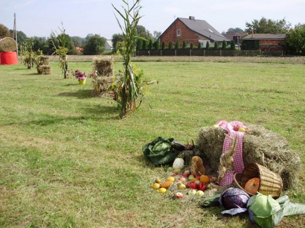 zdjecie Krzyżanowice