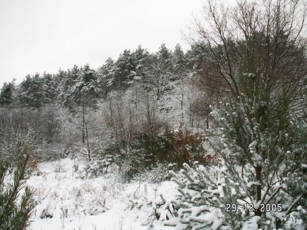 zdjecie Gardna Mała