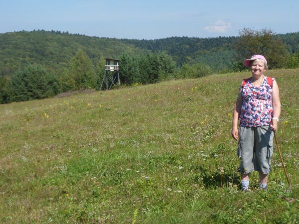 tu etap na : "Szlaku starej osady za lasem" podczas "wyprawy odkrywców" - na widokowej polanie - myśliwska ambona, ta polana zaś zwie się "Pohulanka".