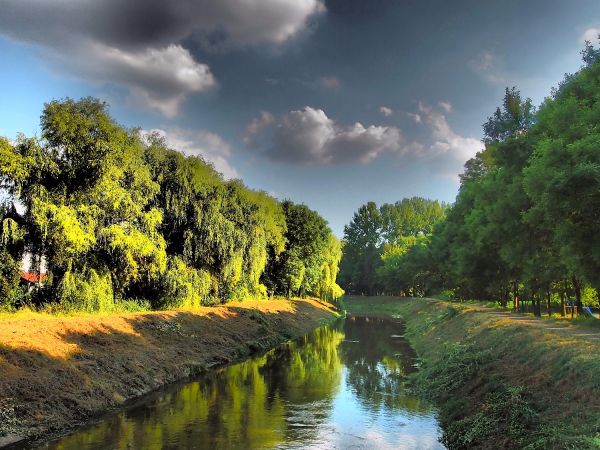 Park Grabek i rzeka Brynica