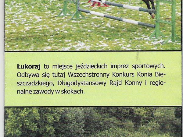 ze zbiorów prywatnych: materiały promujące. Przy temacie: w lecie pożądaną atrakcją są przejażdżki bryczkami, w zimie kuligi oraz skiring - tj. jazda na nartach