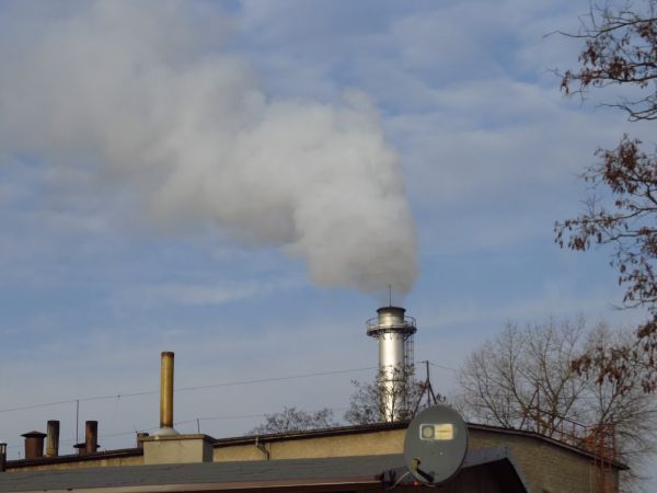 Główny komin zakładu Steico
