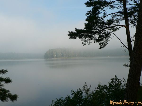 Wiartel ,- Wysoki Brzeg-