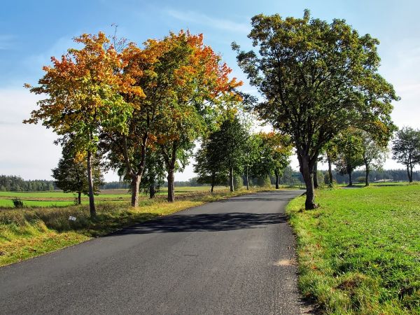 Ulica Kręta z Franku do Iwiczna