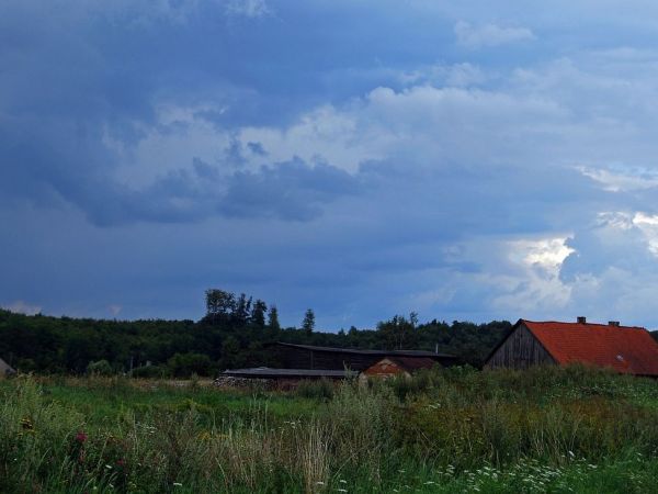 Olszówka - lato 2012