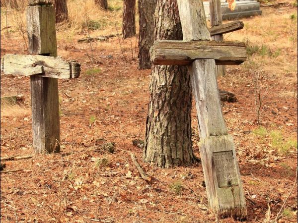 Stary cmentarz greckokatolicki przy cerkwi w Mołodyczu. Obecnie używany sporadycznie .