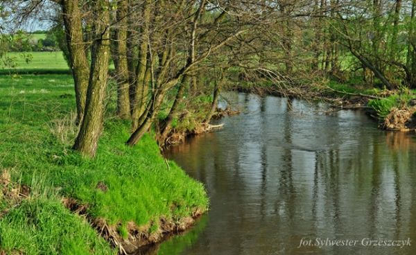 Zdjęcia Gardzienice-Kolonia