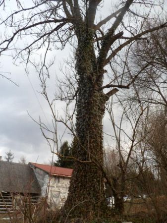 zdjecie Bandrów Narodowy