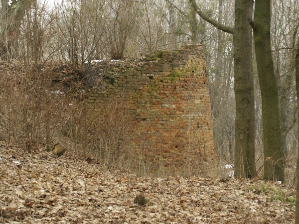 Baszta, fragment ruin zamku Wożuczyńskich