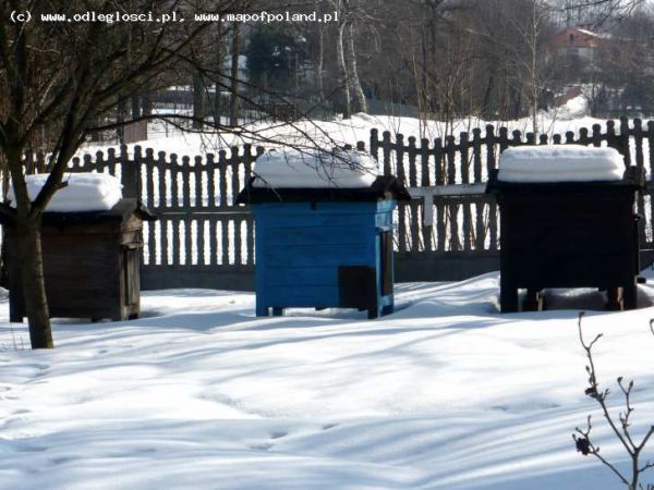 Pasieka w szacie śniegowej - Suliszowice