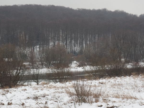 z drogi - tzw. "Traktu Królewskiego" : widok na rzekę San, za nim "Chmielina" - to na zboczu g.Bucharewa - 530m npm,na linii brzegowej po prawej jest szczątkowa