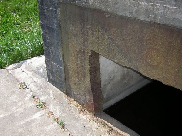 zdjecie Sulechów