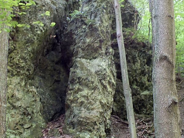 Rezerwat Wąwóz Myśliborski forma skalna "Maczuga"