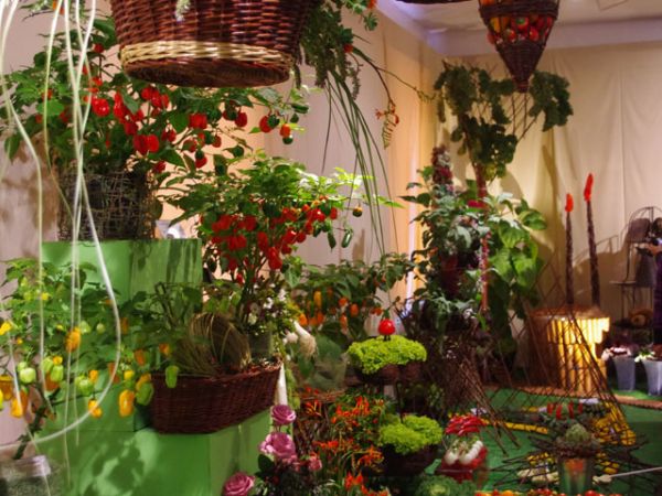 Wystawa podczas Święta Kwiatów Owoców i Warzyw